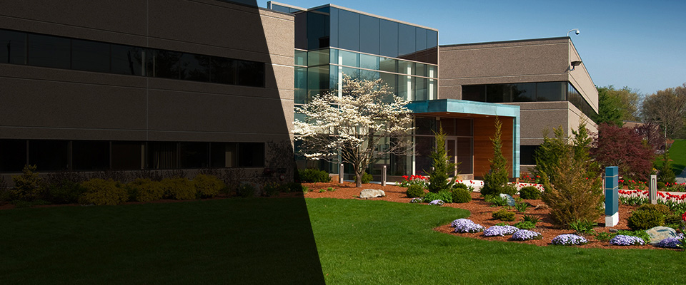 Crystal Springs Landscapers