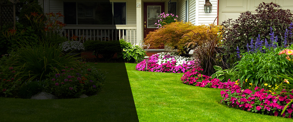 Crystal Springs Landscapers
