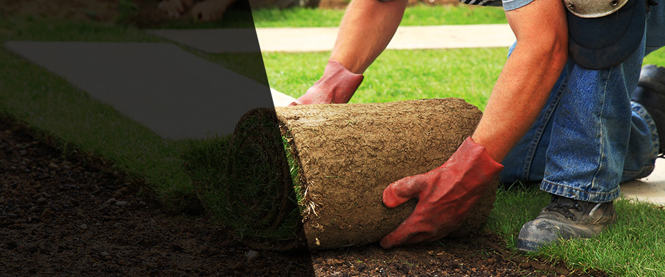 Crystal Springs Landscapers